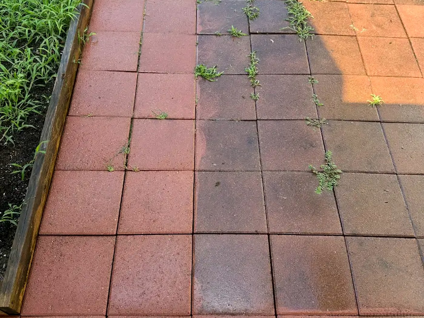 Dull red brick paver patio with weeds in the joints before cleaning