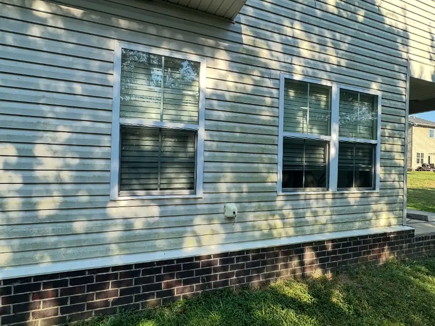 Vinyl siding covered in green algae before soft washing